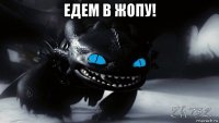 едем в жопу! 