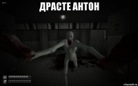 драсте антон 