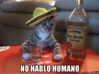  no hablo humano
