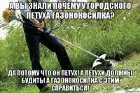 а вы знали почему у городского петуха газонокосилка? да потому что он петух! а петухи должны будить! а газонокосилка с этим справиться!