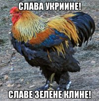 слава укриине! славе зелене клине!
