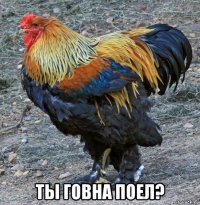  ты говна поел?
