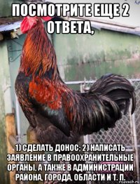 посмотрите еще 2 ответа, 1) сделать донос; 2) написать заявление в правоохранительные органы, а также в администрации района, города, области и т. п.