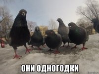  они одногодки