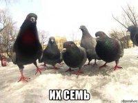  их семь
