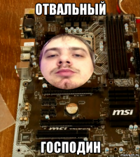 отвальный господин