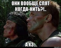 они вообще спят когда-нить?!.. а хз..