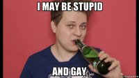 i may be stupid and gay