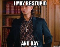 i may be stupid and gay