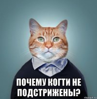  почему когти не подстрижены?