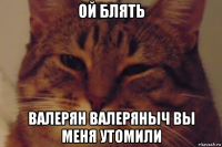 ой блять валерян валеряныч вы меня утомили
