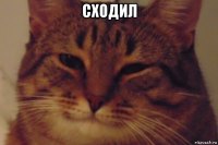 сходил 