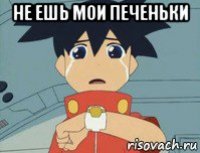 не ешь мои печеньки 