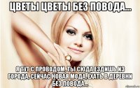 цветы цветы без повода... я тут с проводом, ты сюда ездишь из города, сейчас новая мода, ехать в деревни без повода...