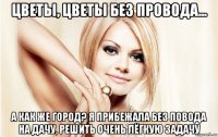 цветы, цветы без провода... а как же город? я прибежала без повода на дачу, решить очень лёгкую задачу