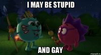 i may be stupid and gay
