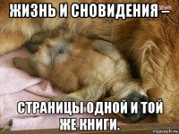 жизнь и сновидения – страницы одной и той же книги.
