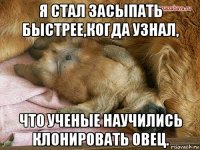я стал засыпать быстрее,когда узнал, что ученые научились клонировать овец.