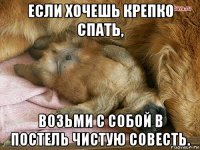 если хочешь крепко спать, возьми с собой в постель чистую совесть.