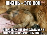 жизнь – это сон. спи, пока не проголодаешься и ешь, пока не захочешь спать.