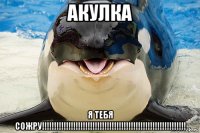 акулка я тебя сожру!!!!!!!!!!!!!!!!!!!!!!!!!!!!!!!!!!!!!!!!!!!!!!!!!!!!!!!!!!!!