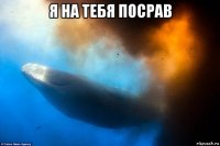 я на тебя посрав 
