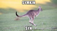 symkin syn