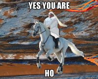 yes you are ho