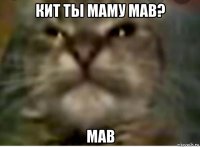 кит ты маму мав? мав
