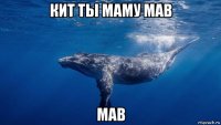 кит ты маму мав мав