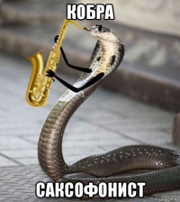 кобра саксофонист