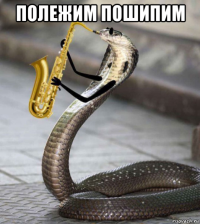 полежим пошипим 