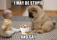 i may be stupid and gay