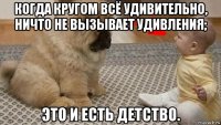 когда кругом всё удивительно, ничто не вызывает удивления; это и есть детство.