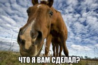  что я вам сделал?