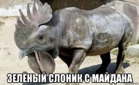  зелёный слоник с майдана