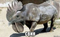  свин