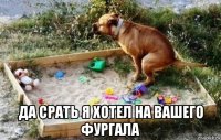  да срать я хотел на вашего фургала