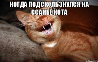 когда подскользнулся на ссаньё кота 