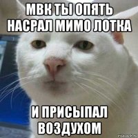 мвк ты опять насрал мимо лотка и присыпал воздухом