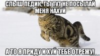 слыш педик, ты тут не посылай меня нахуй а то я приду и хуй тебе отрежу!