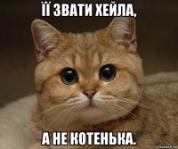 її звати хейла, а не котенька.