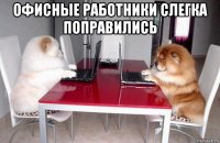 офисные работники слегка поправились 