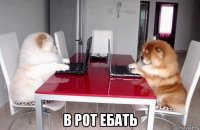  в рот ебать