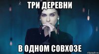 три деревни в одном совхозе