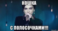 кошка с полосочками!!!