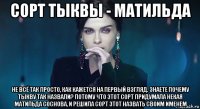 сорт тыквы - матильда не всё так просто, как кажется на первый взгляд. знаете почему тыкву так назвали? потому что этот сорт придумала некая матильда соснова, и решила сорт этот назвать своим именем