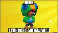 леон редкость большая!!!!