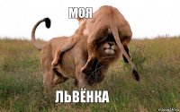 Моя Львёнка