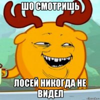 шо смотришь лосей никогда не видел